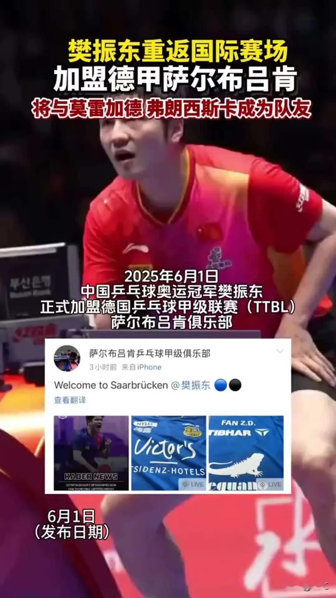 事出反常必有妖！樊振东突然宣布参加德甲联赛，仔细想想其实利大于弊，这三个原因
