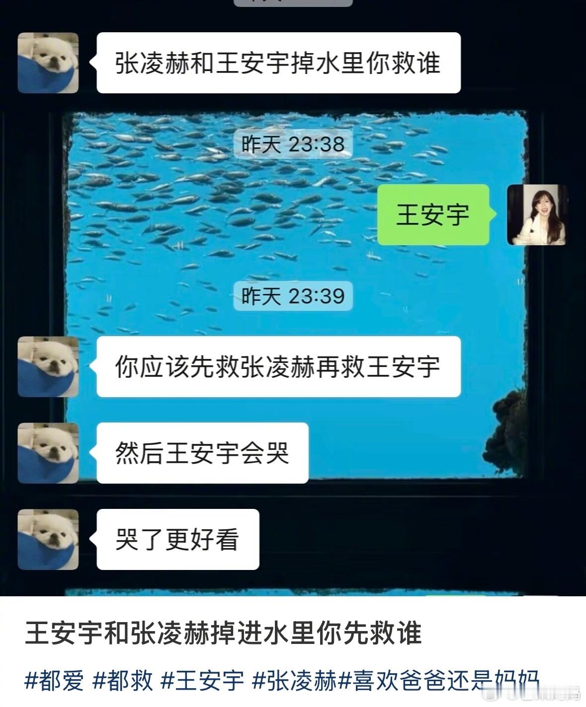 “王安宇和张凌赫掉进水里你先救谁”这个问题的正解是：​​​