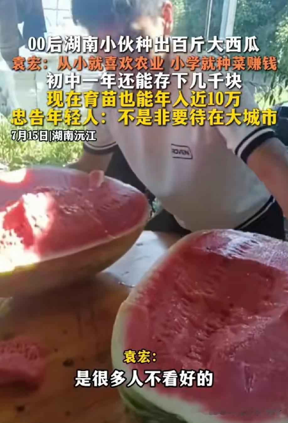西瓜太大了，应该不会太好吃吧[？？？]