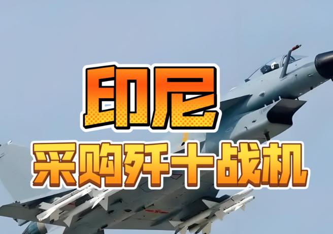 重磅消息啊！印尼真买了歼10！2025年10月15日，印度尼西亚国防部长