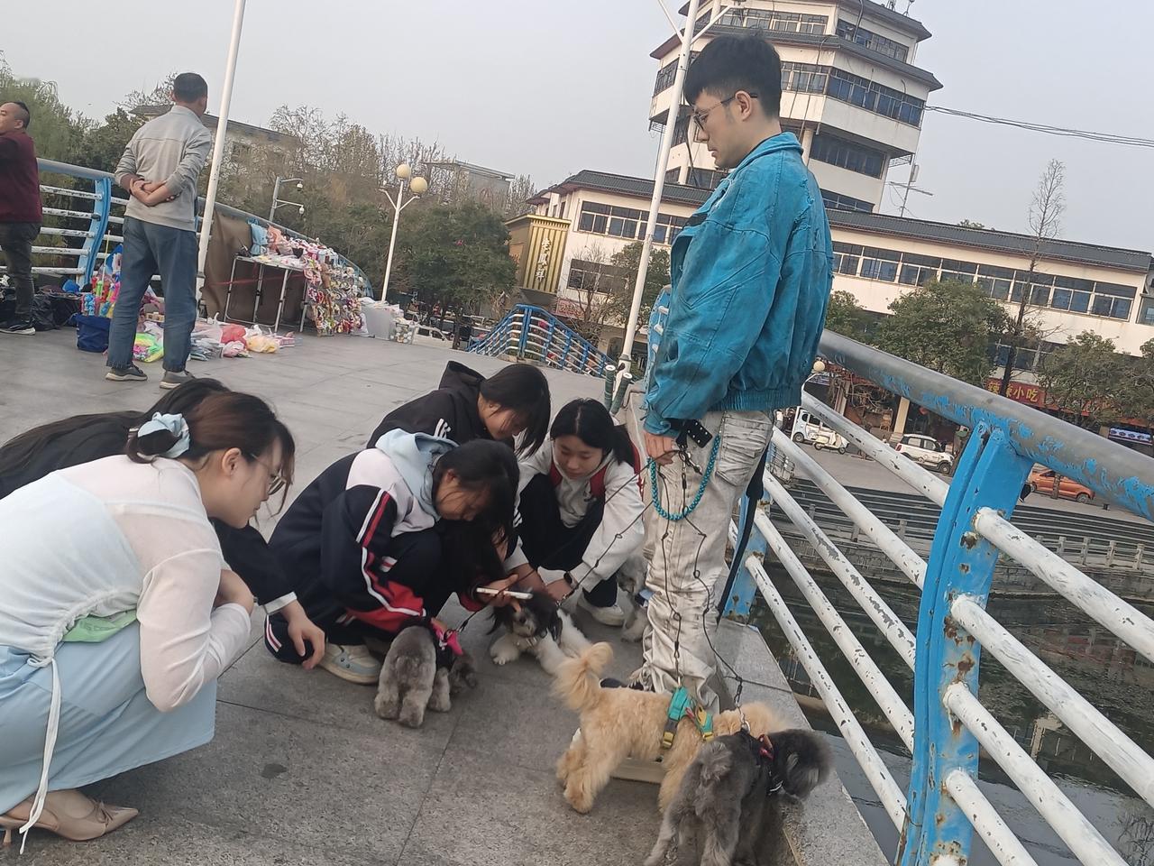 腰缠四犬的小伙。