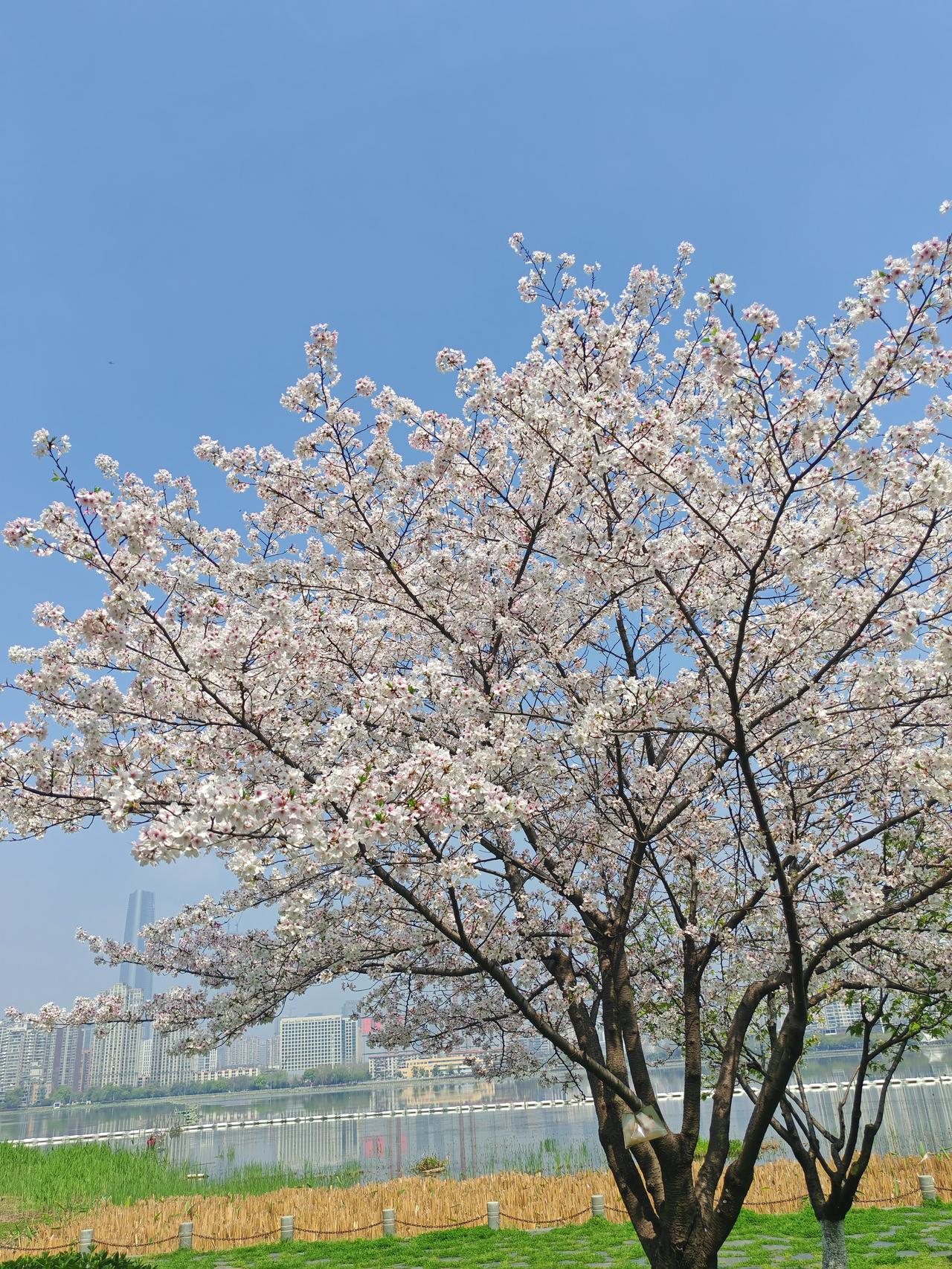 1、车子里很干净的人，大多都不好客。2、胖胖的女孩，脾气都很好。3、手上喜欢