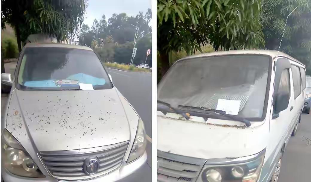 南宁街头惊现“锈迹僵尸车”！宝马车荒废成废墟，长期占位无人管，交警终于出手公