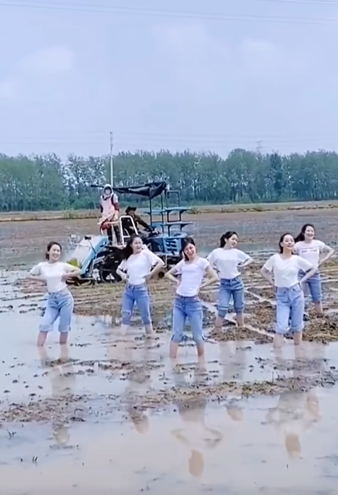 有谁知道这到底是在干啥啊[哭笑不得][哭笑不得][哭笑不得]