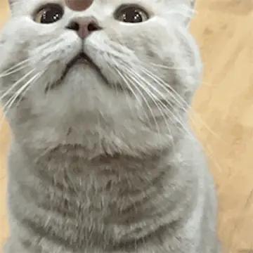 二汽喊出“我不服”，还真有它不服的道理。二汽总工程师陈祖涛直言，苏联援助中国的汽