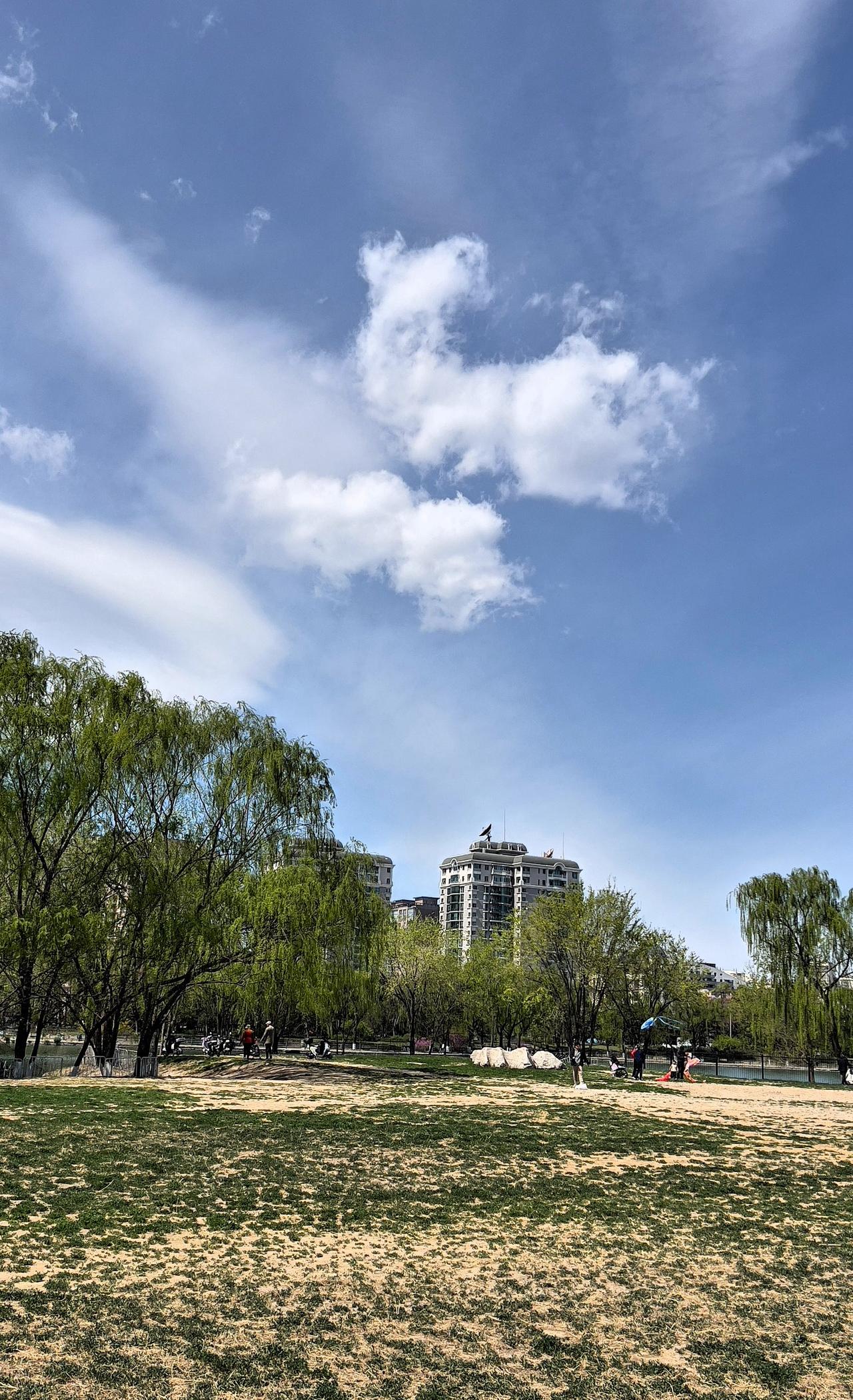 北京朝阳公园·春日盛景春风拂过，朝阳公园便从冬日的沉睡中苏醒，朝阳公园是四