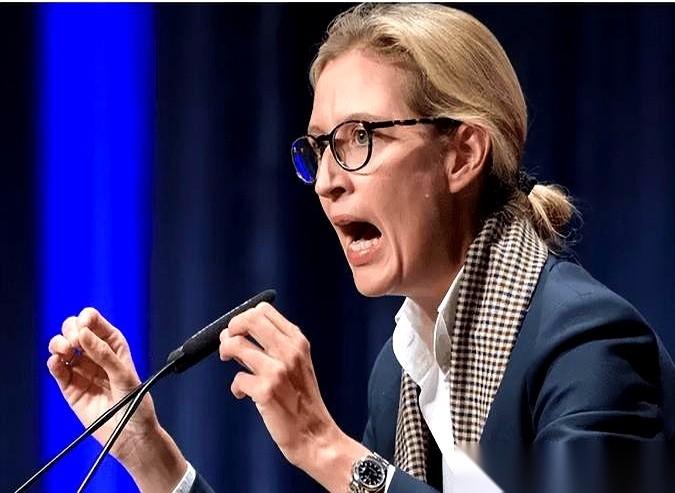 一个人,背着27个国家,就把整个欧洲给卖了。就欧盟那个当家的,冯德莱恩。也难怪