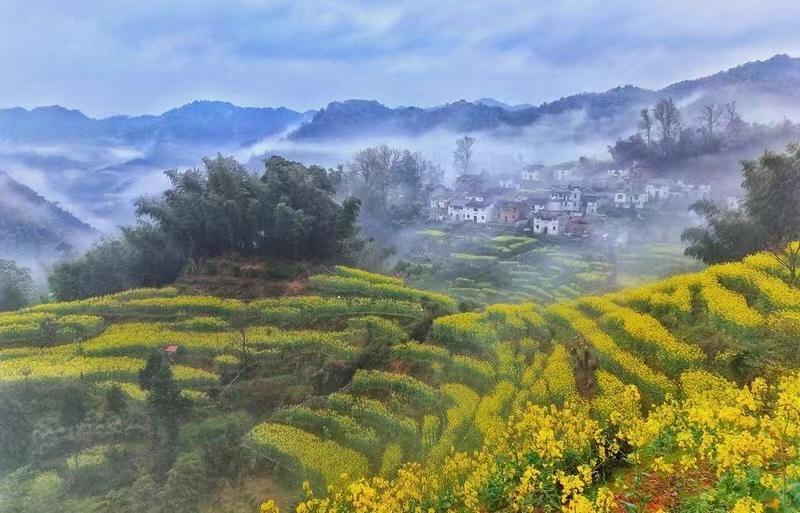 接待了一位南京五中的高一的学生家长，小朋友的数学不太好，期末考试的时候就考了八十