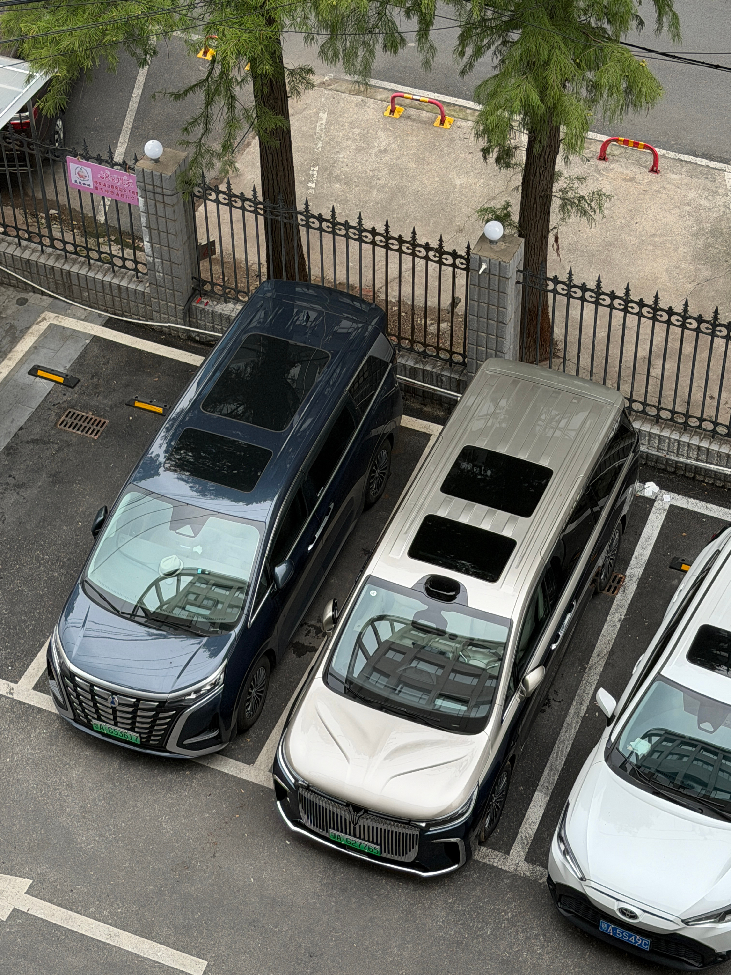 虽然这个角度并不日常，但是梦想家的头盖骨也要好看一些的。​​​