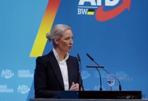 🔻德国选择党AfD的爱丽丝·魏德尔谈乌克兰局势：“不应继续助长此类政权，而