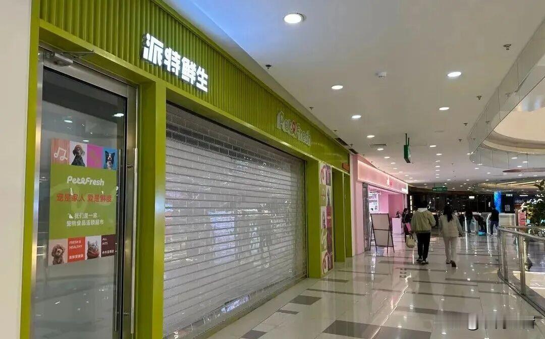 盒马创始人创业两连败！派特鲜生关店，照搬生鲜套路坑了自己？侯毅这波创业又凉