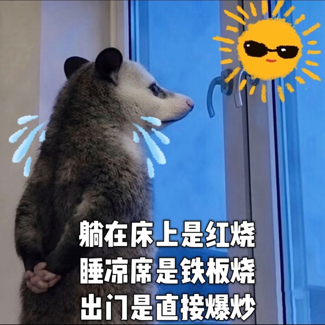 不说了，看图