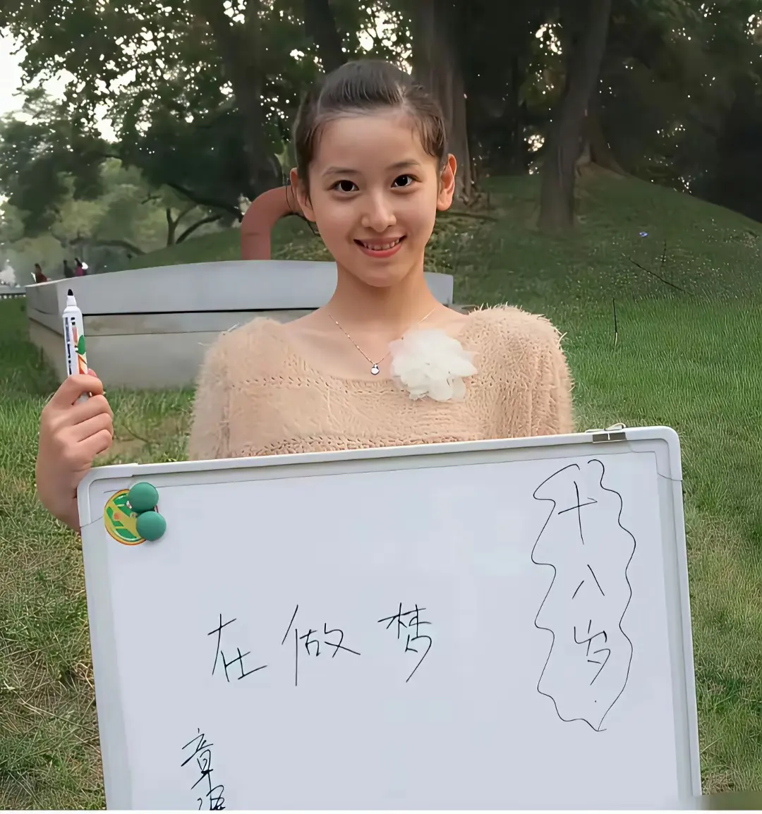 年轻时的刘强东和章泽天，能认出来吗？