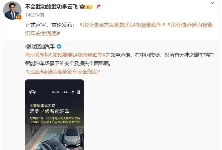 比亚迪：智能泊车造成的损失，我承担！丰田：电车自燃，我直接赔一辆新车！果然