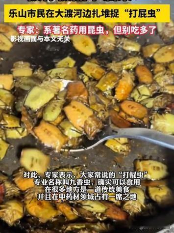 初冬时节，四川乐山大渡河边热闹非凡。市民们扎堆在鹅卵石滩上翻找“打屁虫”，这种俗