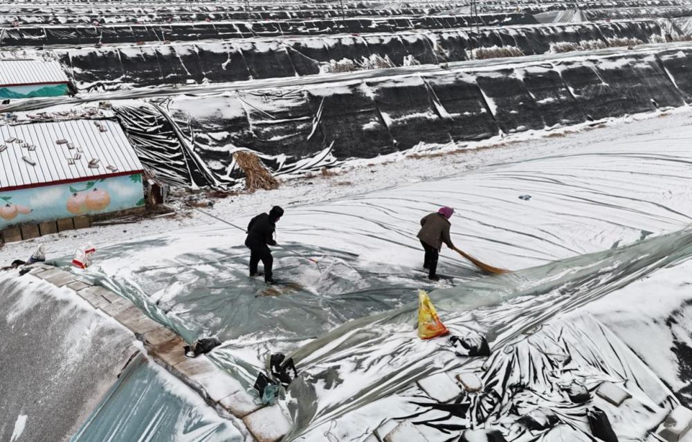 本轮寒潮何时结束? 气象专家给出预判