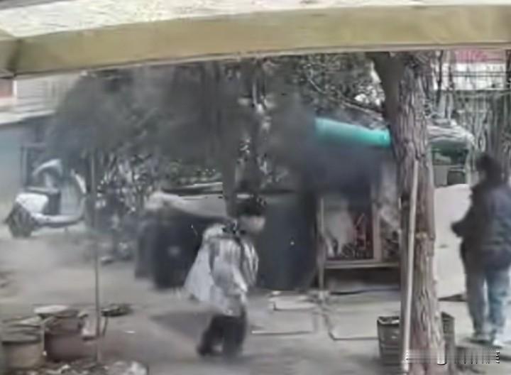 2个熊孩子！2月1日，江苏连云港一小区，2个孩子玩火逗鸡玩，没想到火种掉入了狗笼