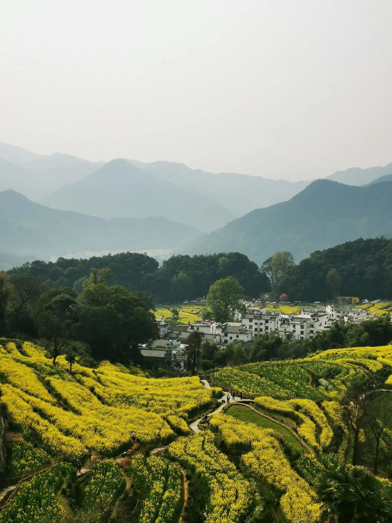 今天有一位高中的化学老师跟我聊天，他说他决定这个学期以后要丢掉一些学生，为什么要