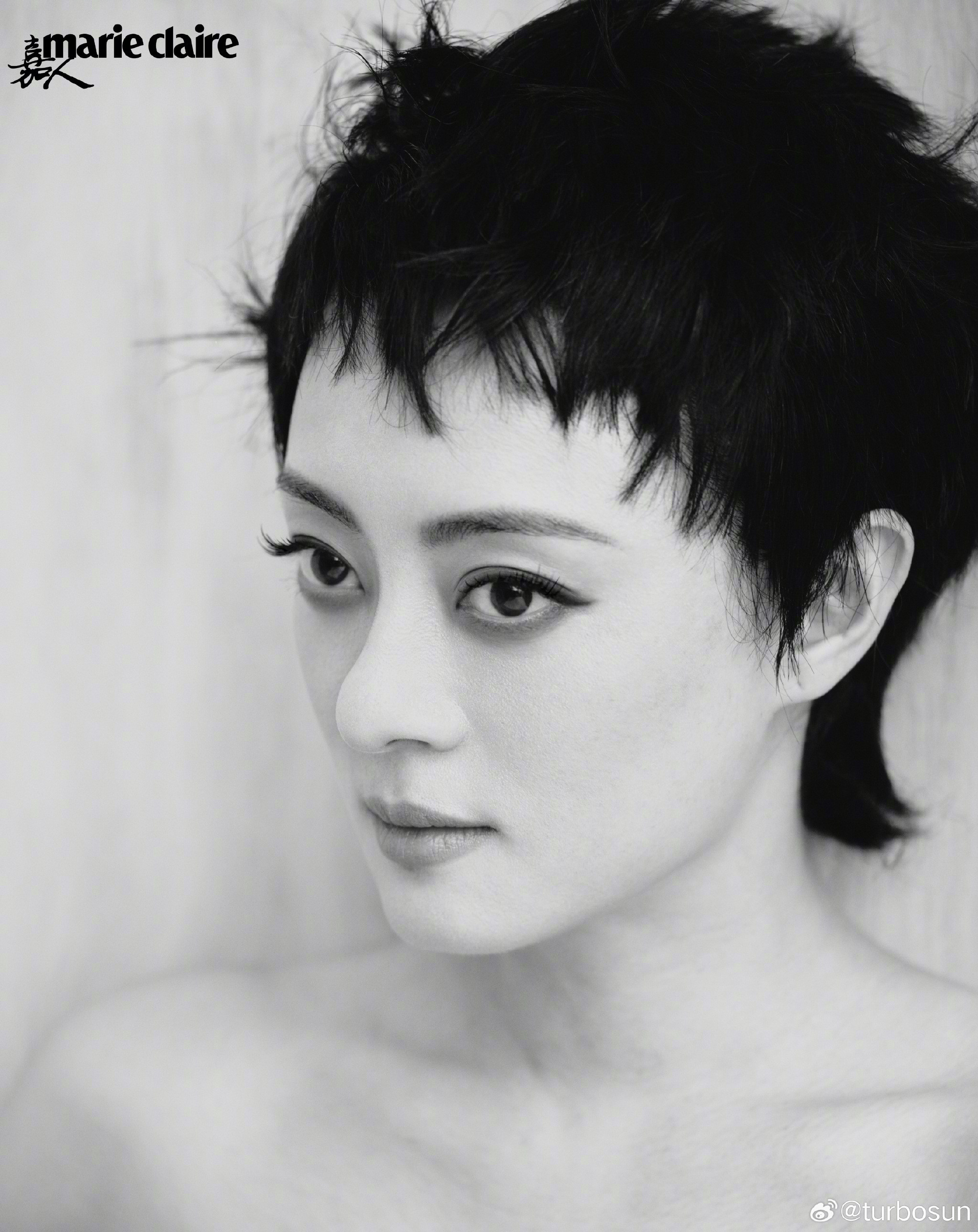 孙俪从菜市场带回一只流浪狗，为这只新成员取名九菜，普通的名字里满是她对这只小狗的