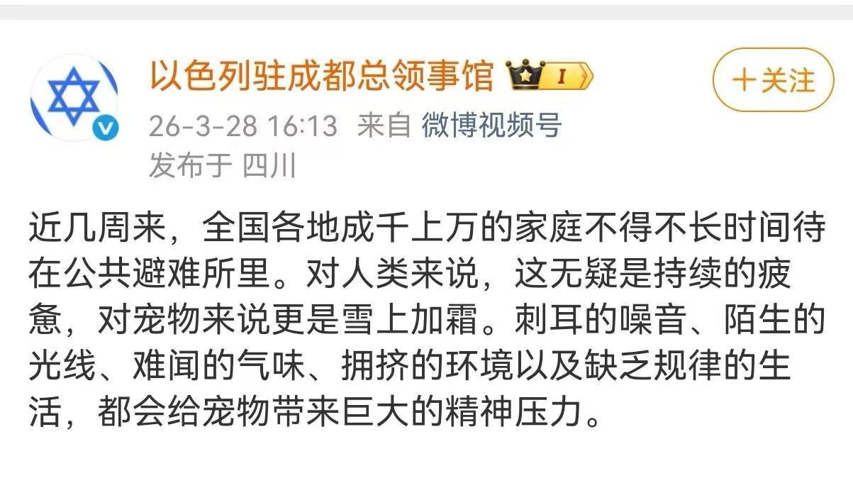 “你不能在打不过的时候才说反战呐”