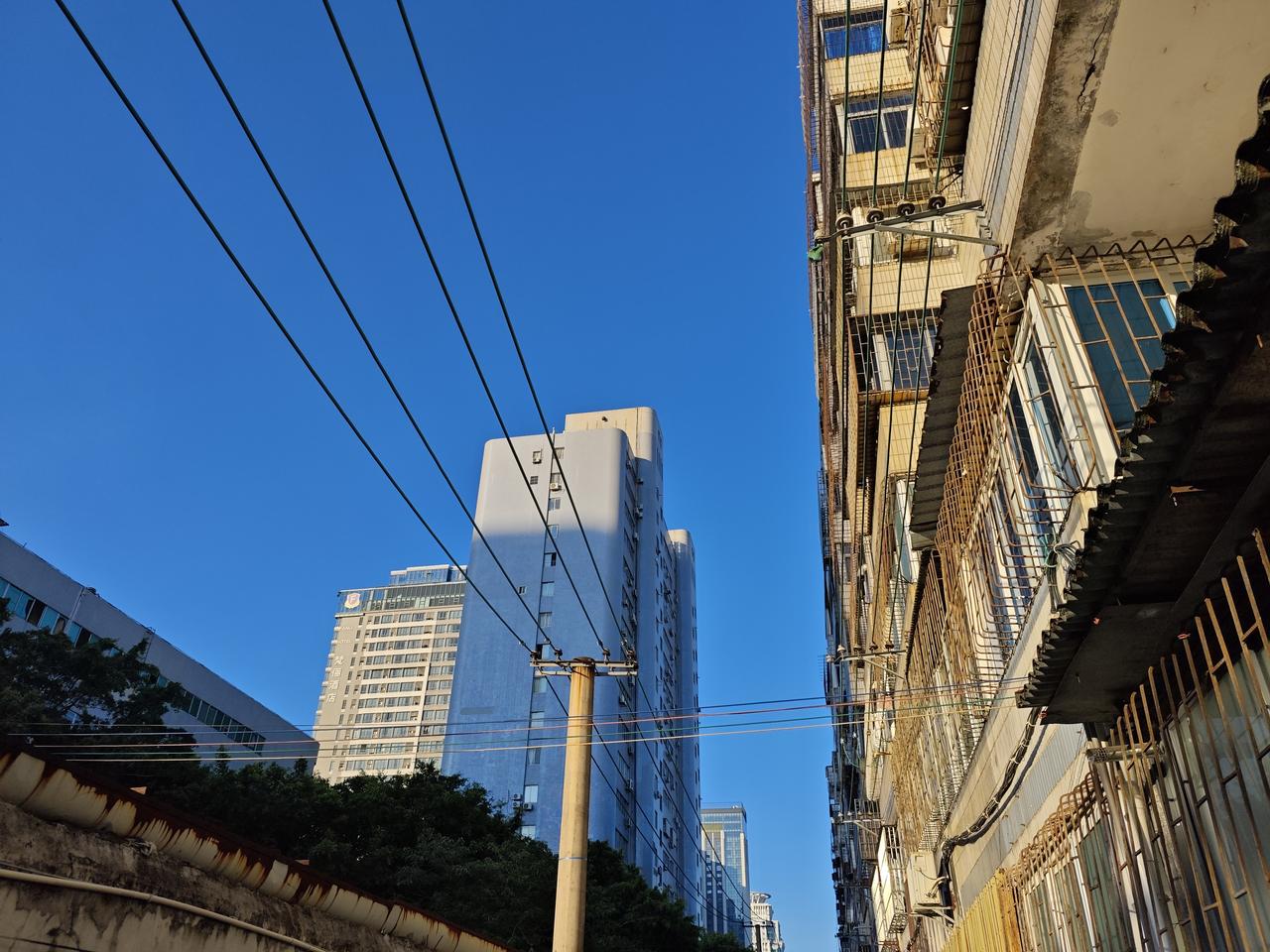 一段非常有道理的话：“永远不要低估基因的强大，孩子长大后，尤其是男孩，会跟他的爷