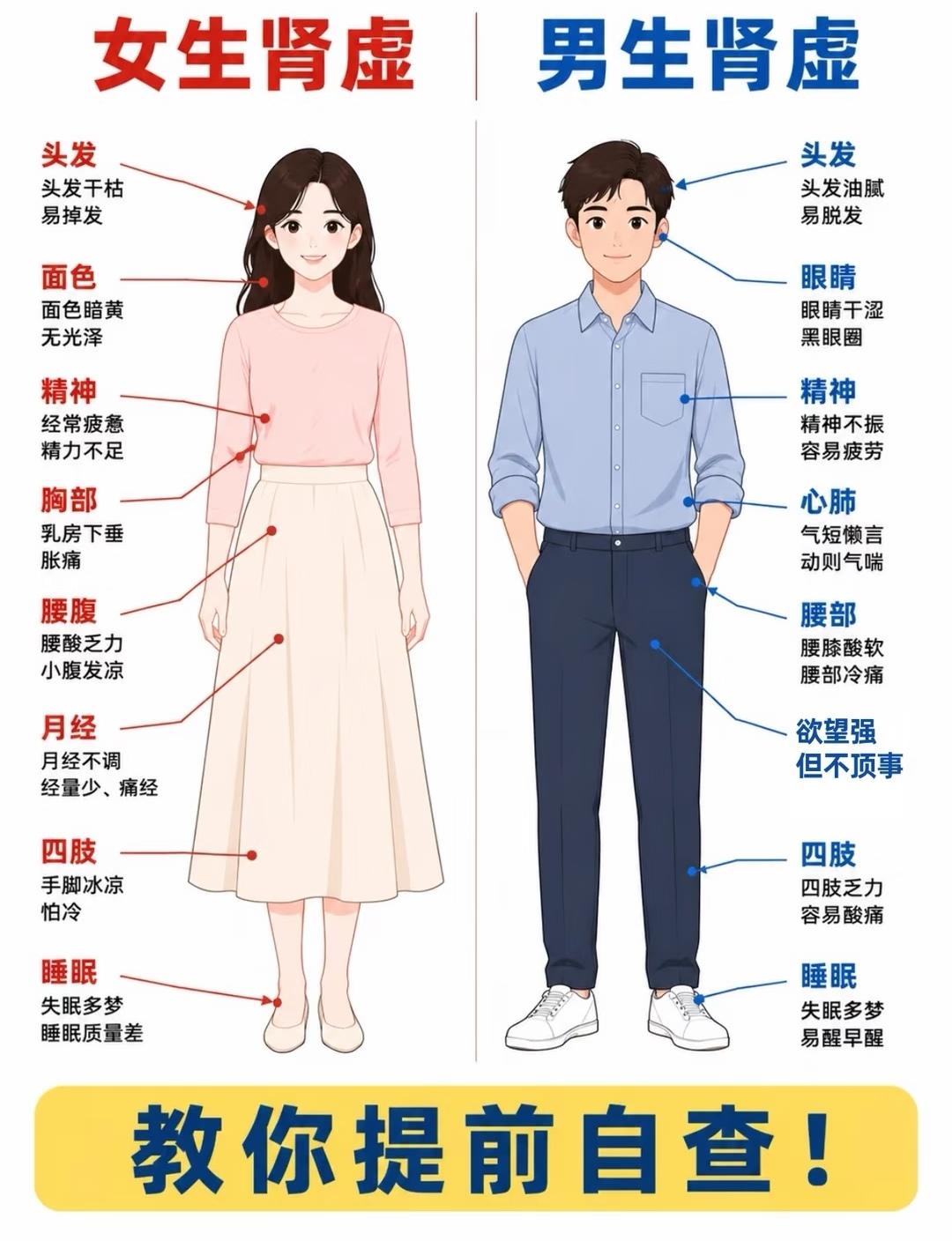 男女肾虚表现差别这么大，一张图看懂自查！女生容易掉发、手脚冰凉、月经不稳；男生
