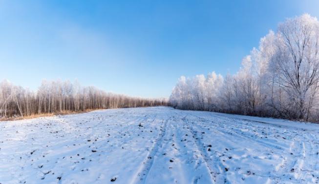 今冬最冷时间表公布，2026年春节冷不冷？早看早知晓。数九从冬至后第一个壬