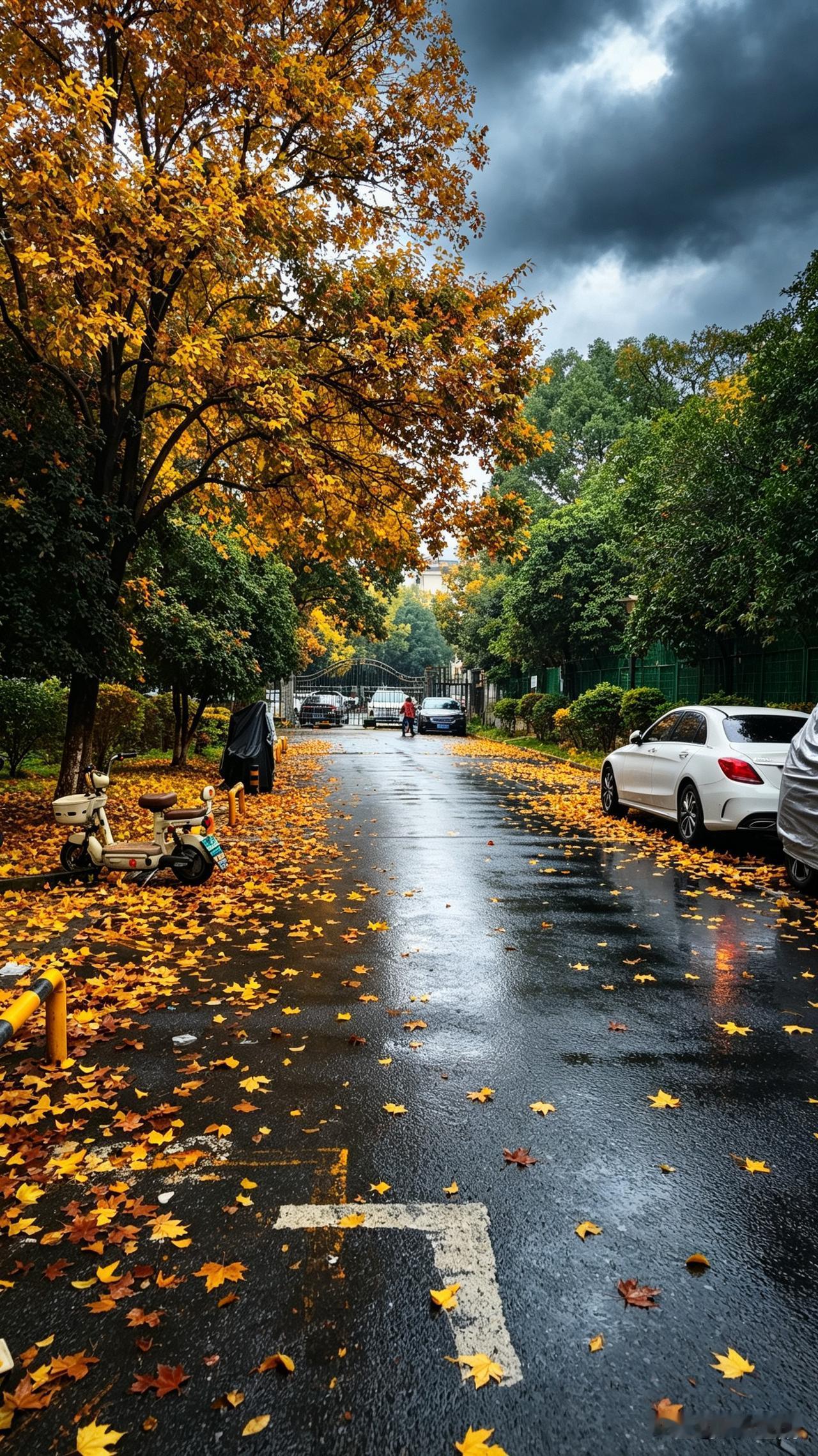 一场秋雨一场寒真不是随口说的，这波下半年来最强冷空气直接把南京的温度焊死在18-