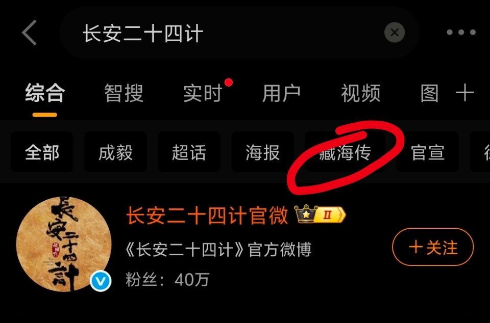 搜长安二十四计的时候发现奇怪的东西。在长安二十四计词条设置的关键词里居然有另一部