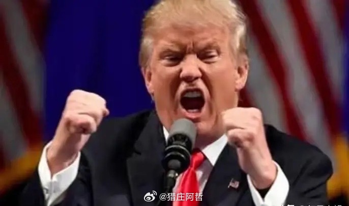 兄弟们，哲哥掐灭烟头，指着屏幕骂了一句：“这行情，连狗都嫌！”连着几天了？哲哥都