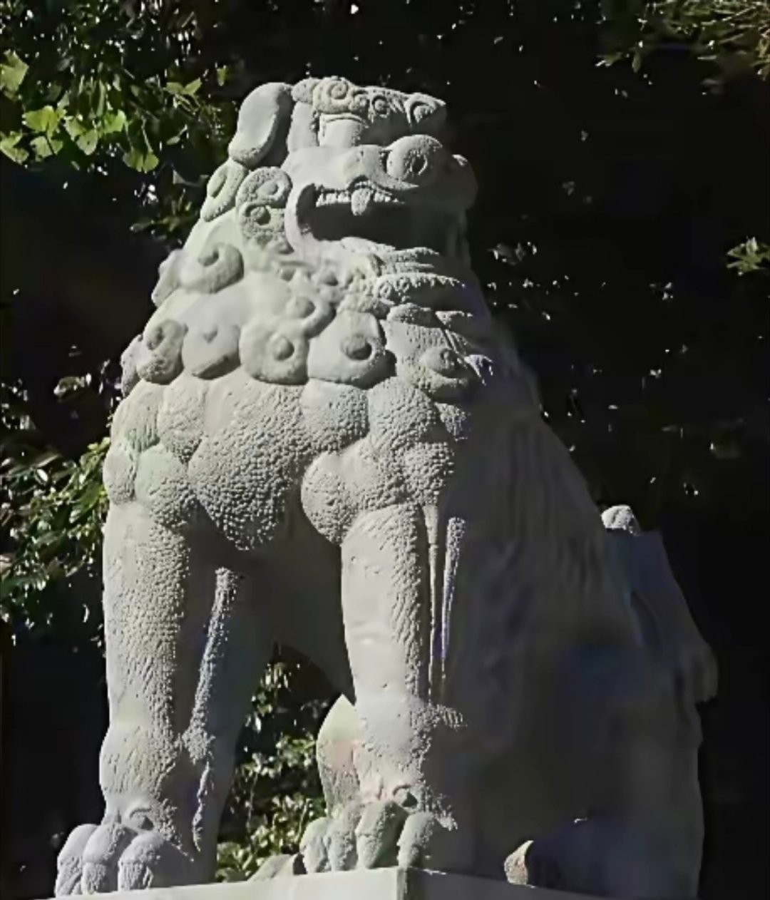 靖国神社门前，两尊石狮静踞如史。它们本来是中国宫殿的守护神，1894年被日军掠至