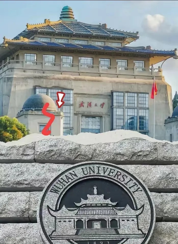 杨景媛这个人，完全不经扒。因为一查你就发现逻辑漏洞太大了，下午刚出的武大通报证实