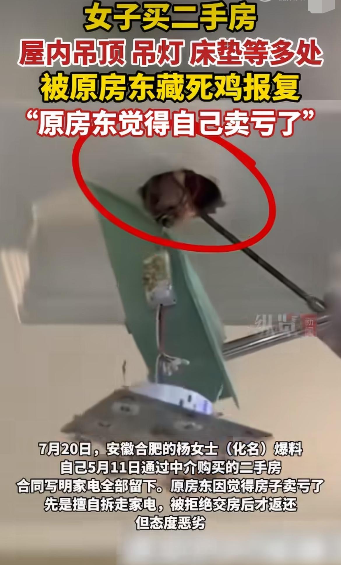 “林子大了什么鸟都有！”合肥的杨女士，通过中介买了套二手房，合同白纸黑字写好了所