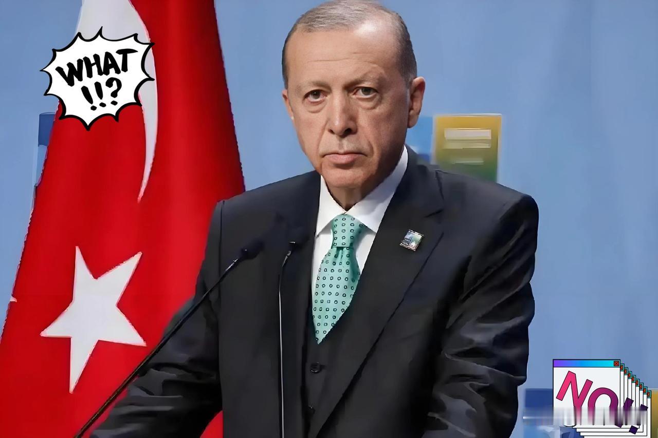 土耳其又出手！对着中国长丝搞反倾销，最后坑的竟是自己？土耳其于2026年