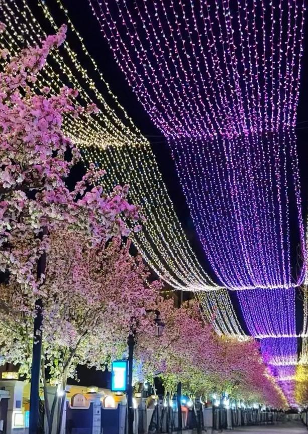 天津五大道，你不能再美了，再美就会美的没有朋友了！[大笑]我以前去天津五大道基