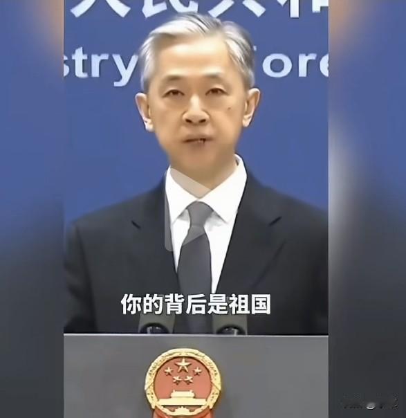 无论什么时刻，无论身处何方，你的身边有我们，你的背后是祖国。听着这暖心汪大使