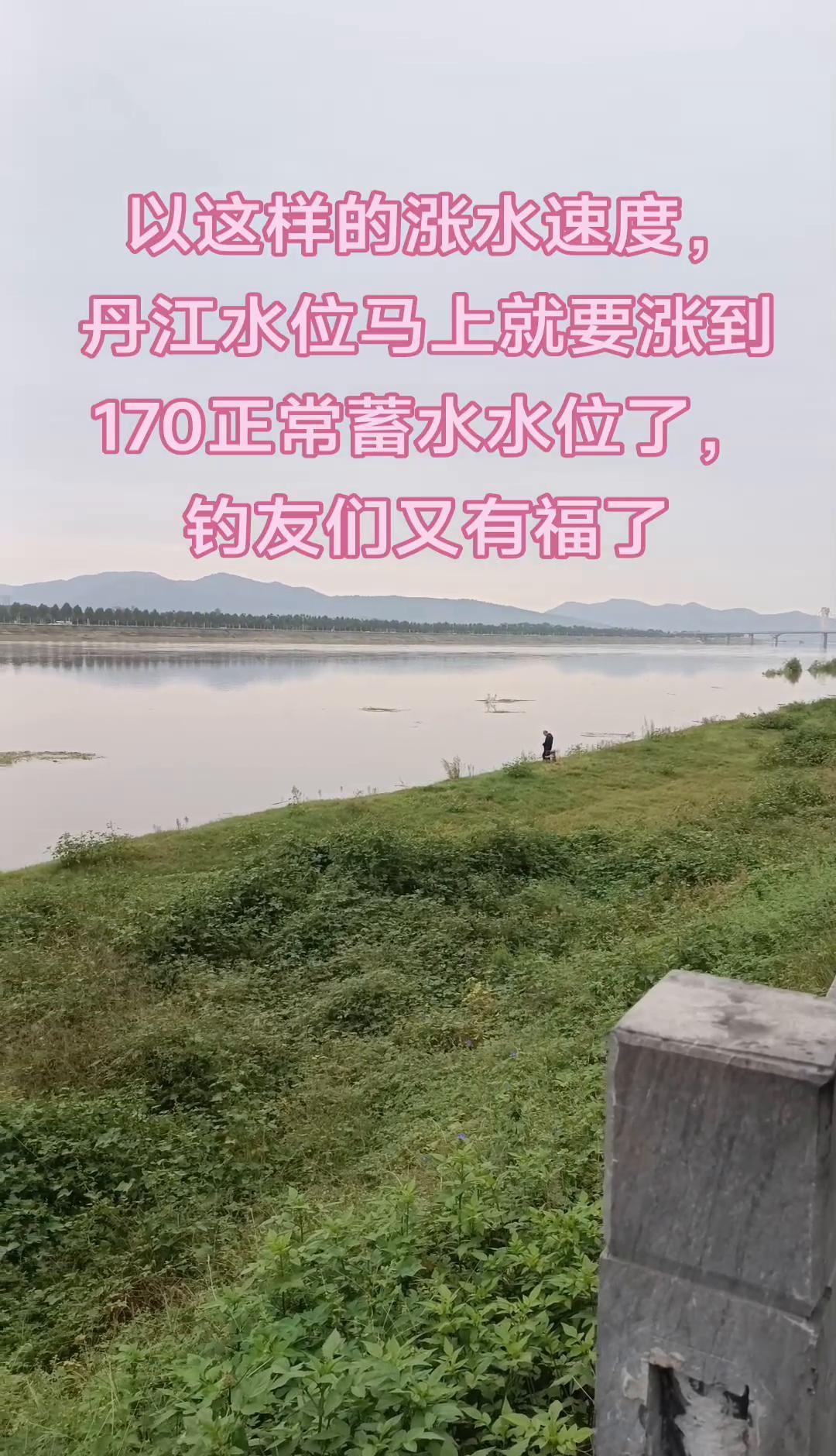 水位今晚冲170米，钓鱼人疯了，但没人能随便下钩了。丹江口水库不是野塘，是给北