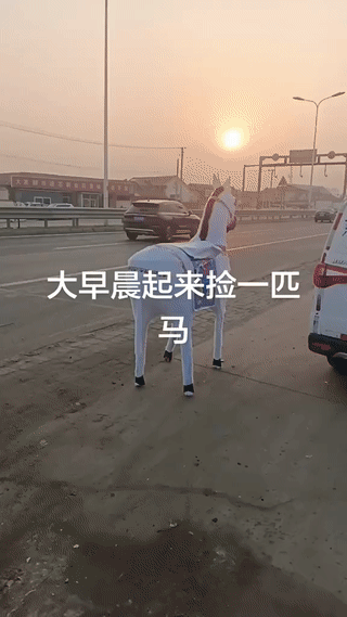 天津一位大哥大早上开车在马路上竟然意外捡到一匹纸扎的“白马”？虽然这东西属于殡