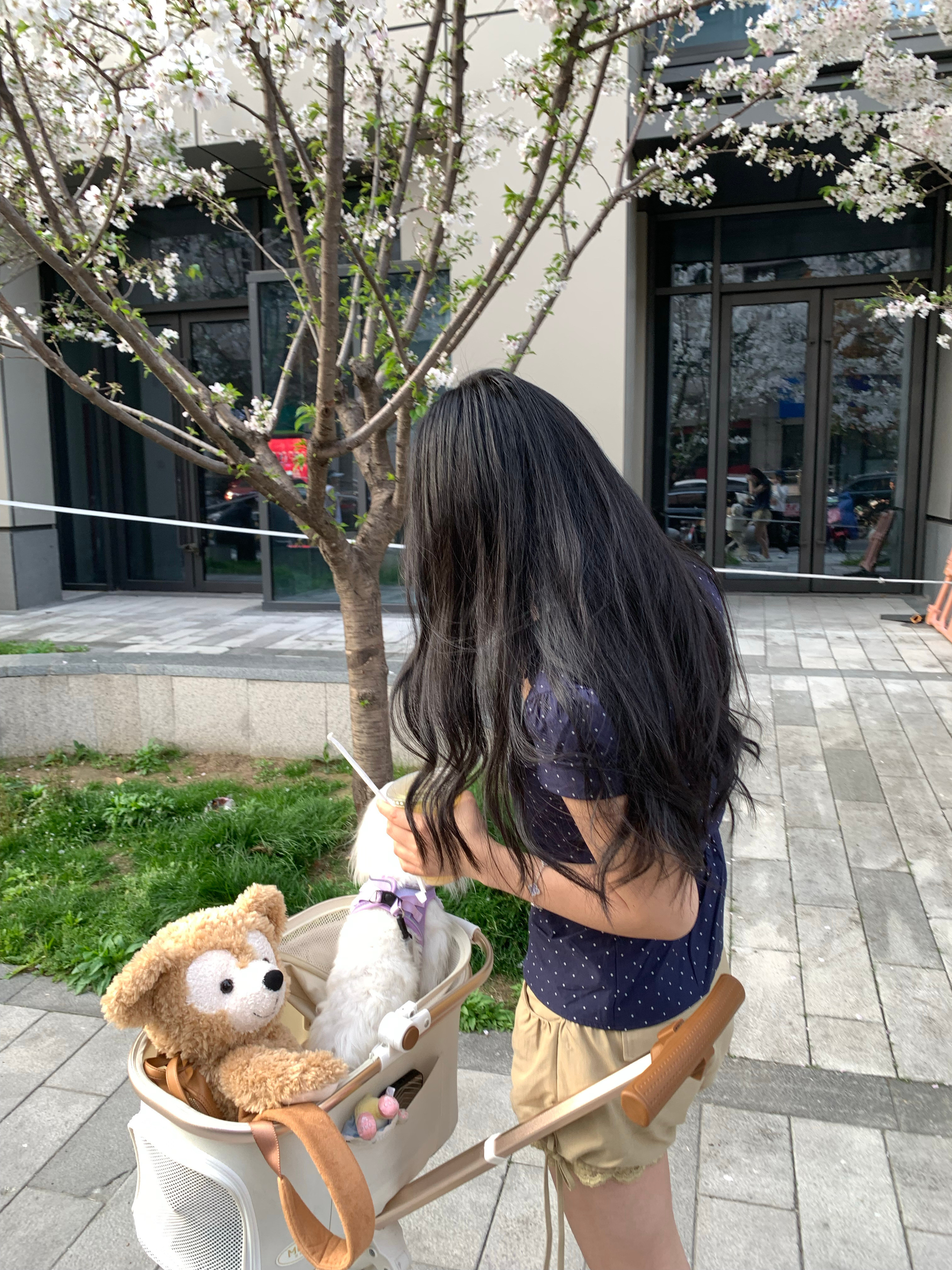 太喜欢春天了！暖洋洋的天气超级舒胡