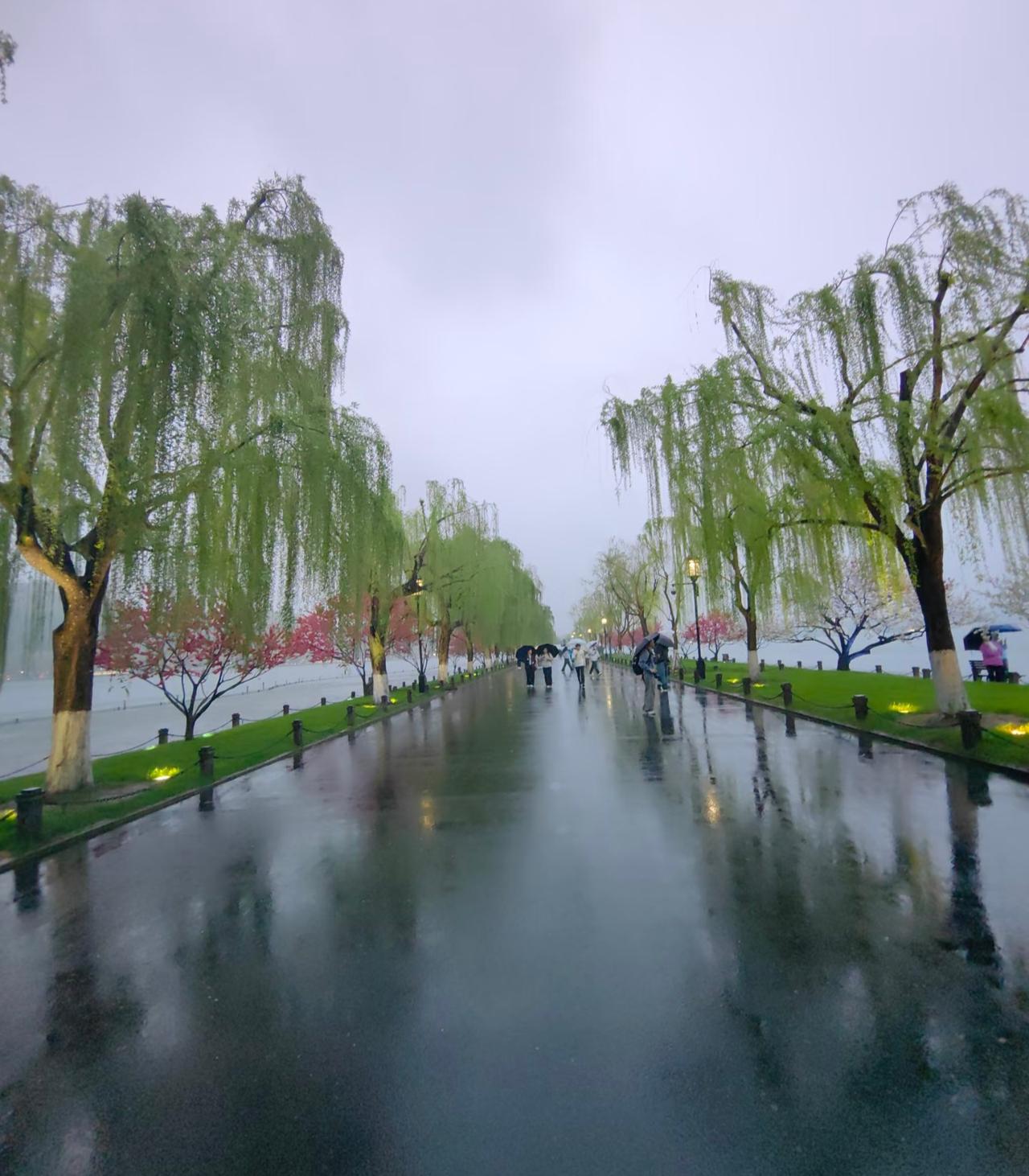 大雨中的西湖你见过吗？专门选了个大雨天去西湖，并不是脑子有问题。而是想看看
