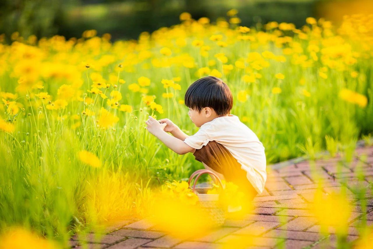 人性最大的恶，是消耗别人的善作家李碧华曾说：“别去考验人性，它根本不堪一击。