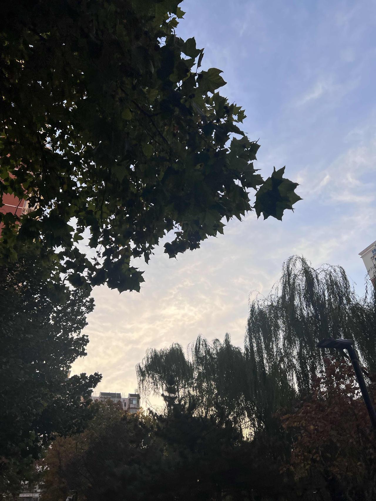 一件外套引发的崩溃早上七点，三部电梯，一部在更换，另一部故障，于是这唯一的一