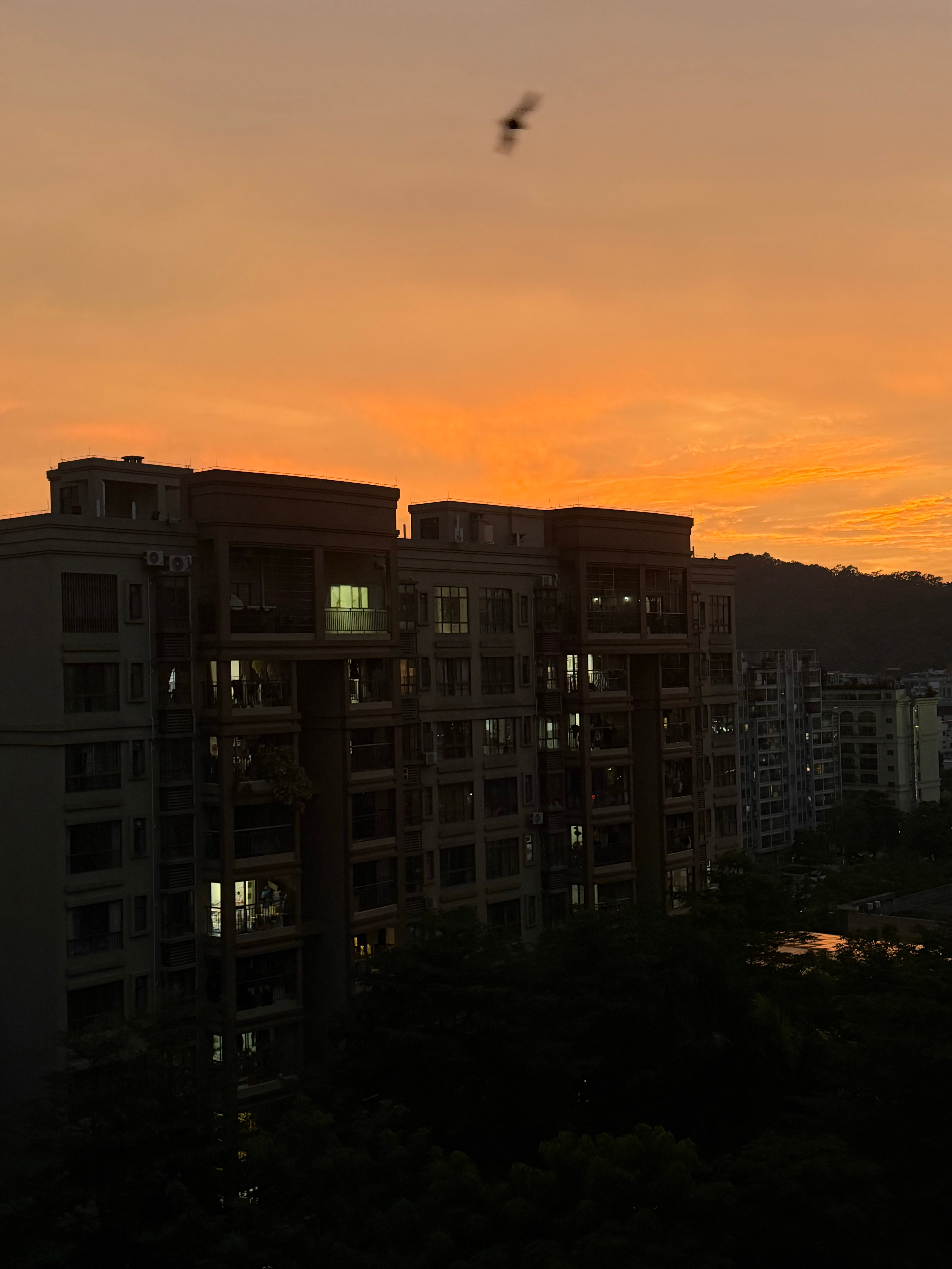 刚欣赏完晚霞准备出门去吃饭，结果就下起了倾盆大雨​​​