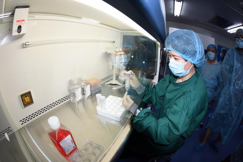 哇哦，长之角上海张江实验室这波操作简直绝了！居然能利用一管血里的生物干细胞培育出