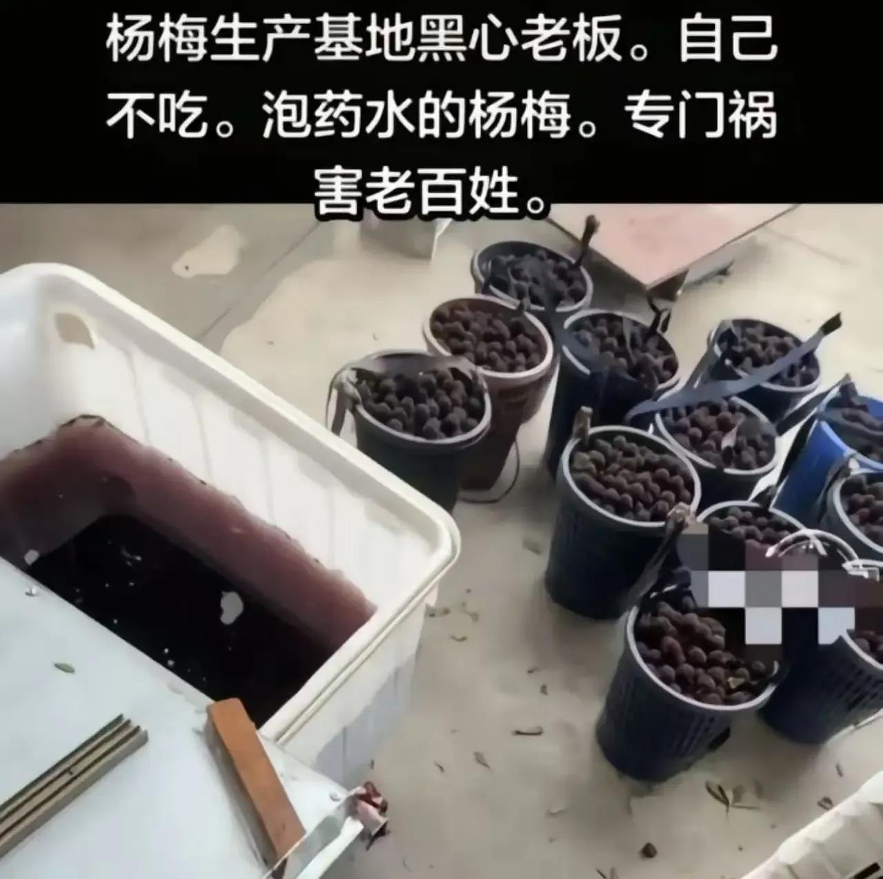 老婆突然问了我一个扎心的问题：“为啥出口的杨梅都是安全可靠的，而卖给同胞的却是‘