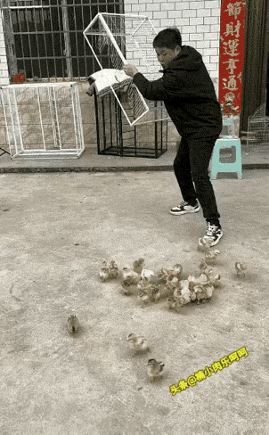 不得不说，这个设计是真的好。只进不出。