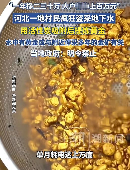 村里有个停了多年的金矿，早年开矿用了含毒药水。后来矿停了，但有毒的金粒子渗到地下