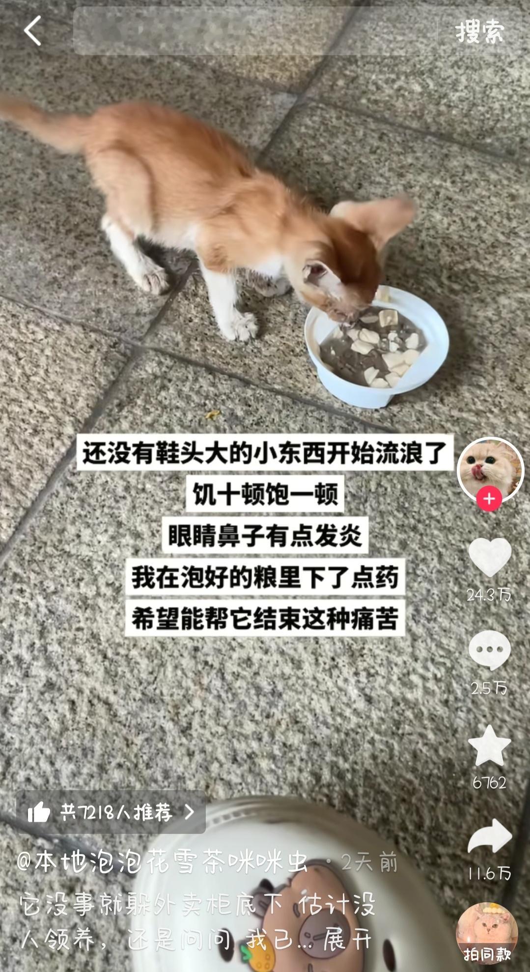 《好心的行为，恶毒的文案》治病你就说治病，什么叫下了点药，帮它结束这种痛苦​​