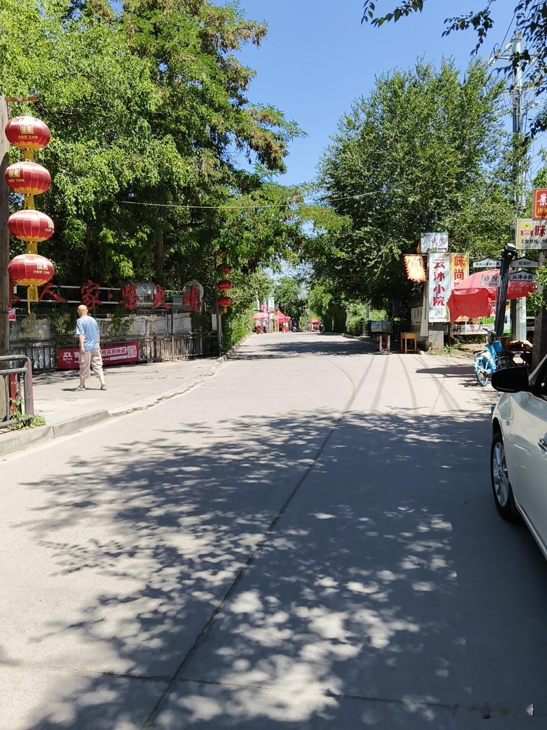 宁可自己带的水果，面包，点心，饼子，我愣是没有吃青城古镇的一口饭菜，光不好吃卫生