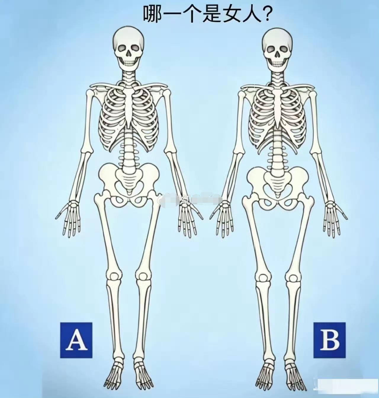 听说有高手能通过人的骨骼判断是男是女，你知道哪一个是女人吗？​​​